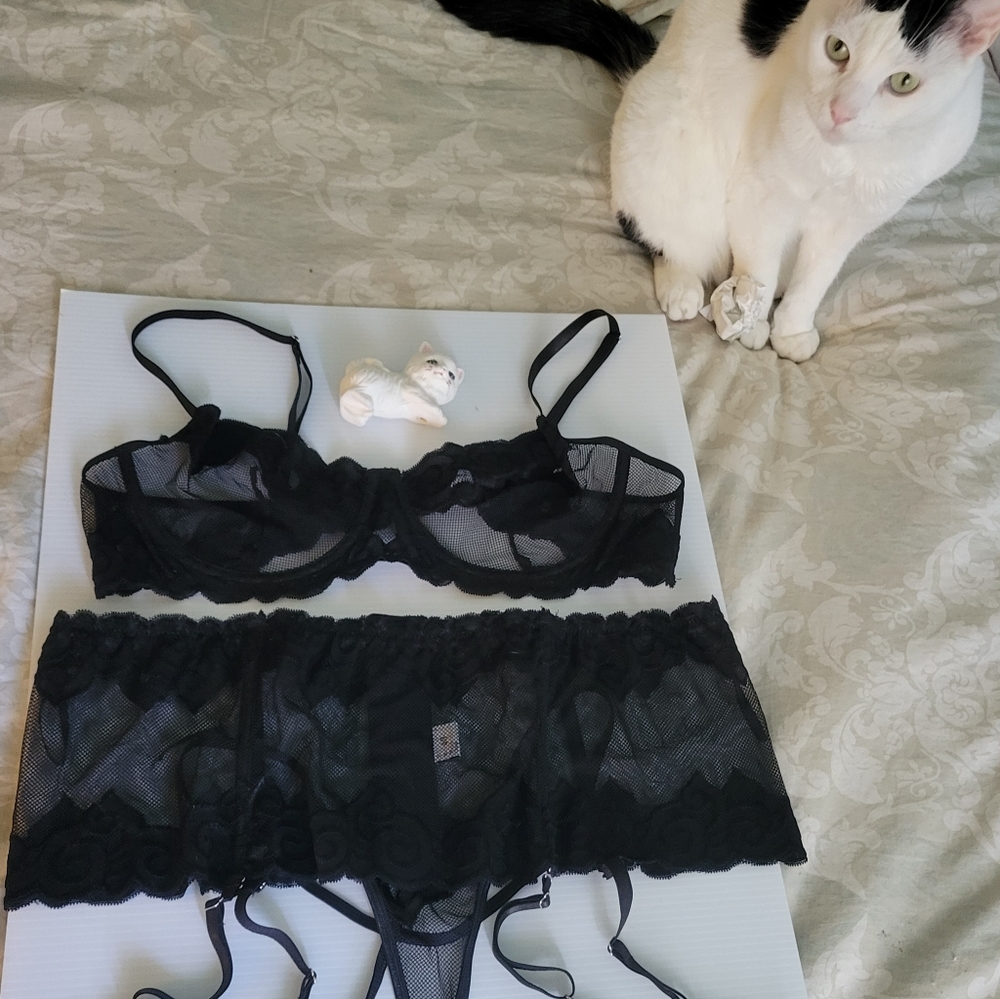 Sexy Lace Bra and Garter Set